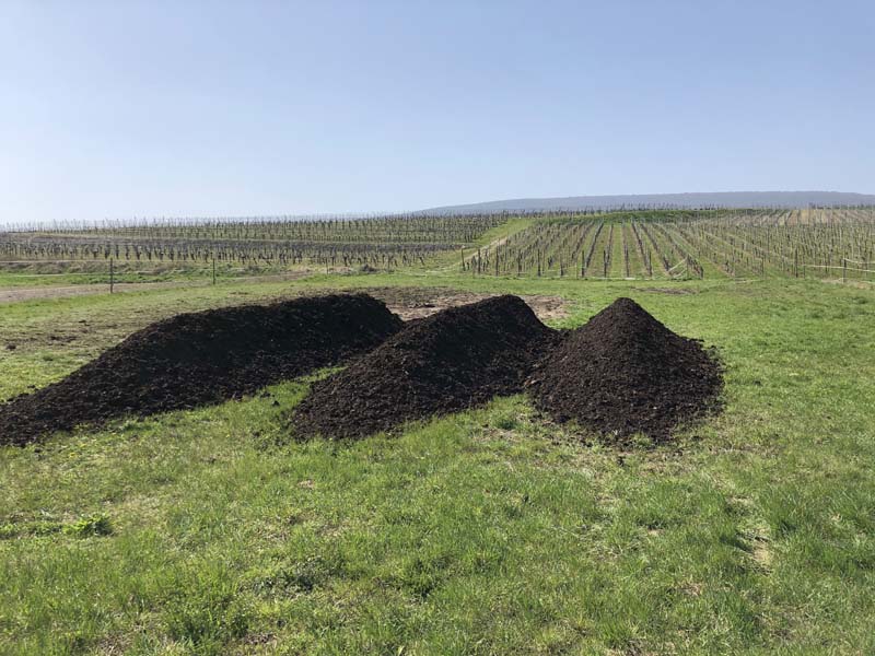 Mise en place de notre compost