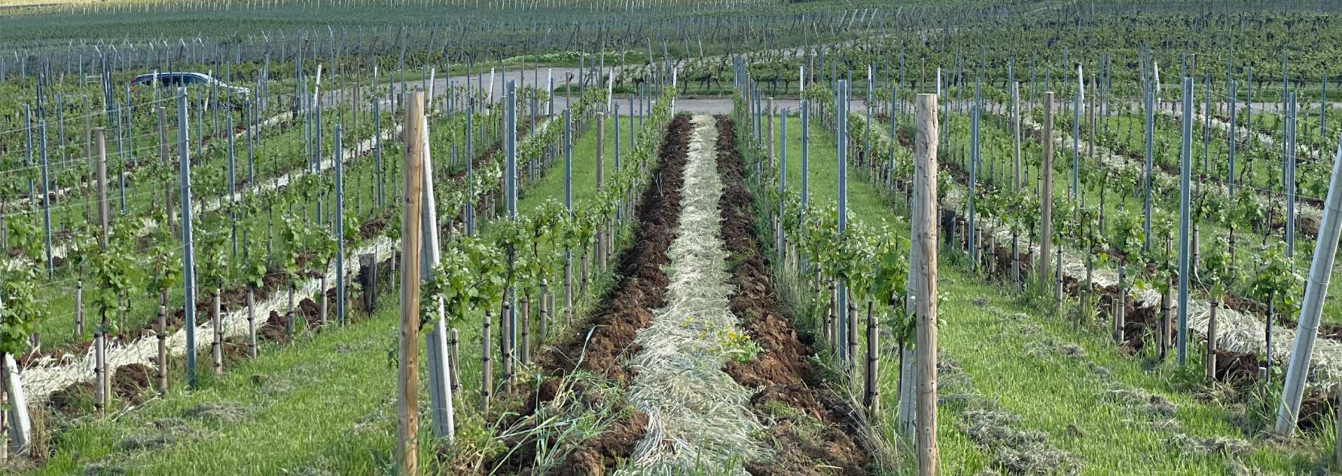 Domaine Paul HUMBRECHT