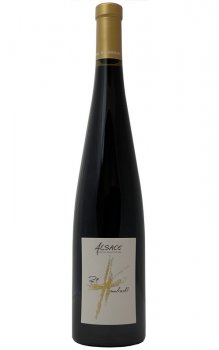 Pinot Noir Matthieu 2019